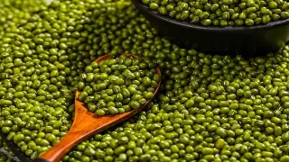 春城沐浴：昆明桑拿按摩的地域特色与文化传承 缩略图