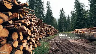 探秘昆明养生密码：不止有鲜花饼！那些藏在街头巷尾的地域特色疗法！