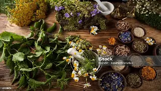 昆明按摩养生新规解读：告别野蛮生长，迎接健康新时代！