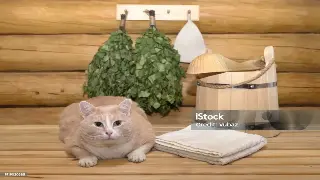 昆明按摩：不止是放松，更是千年文化的指尖传承与舒缓密码